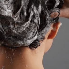 REF Weightless Volume Shampoo 285ml - My Care Boutique 